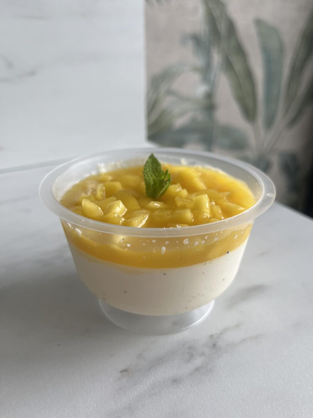 Panacotta Mangue Passion